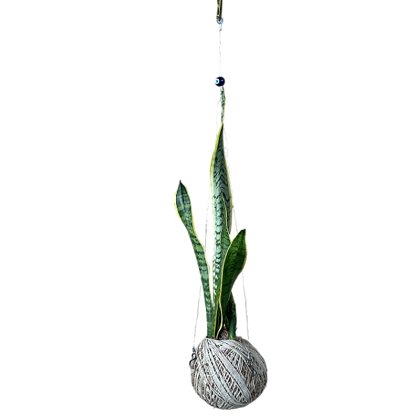 Kokedama Espada Santa Rita/Santa Bárbara com Suporte Olho Grego Proteção Boas Energias