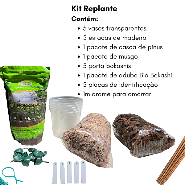 Kit Replante 4 Orquídeas