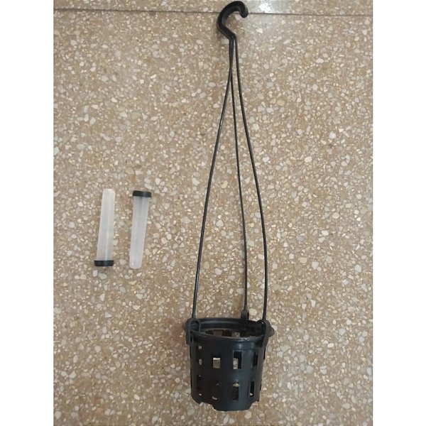 KIT PARA ORQUÍDEA VANDA MUDA: 1 VASO CESTA VAZADO, 1 SUPORTE E 2 FRASCO PLASTICO 09CM BRANCO