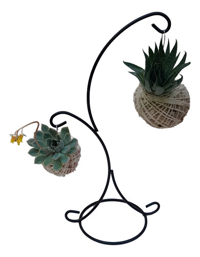 KIT 2 MINI KOKEDAMAS DE SUCULENTA COM SUPORTE 2 GANCHOS