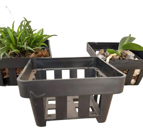 Kit 5 Vasos Vazados Pequenos 10cm Vanda Mini Micro Orquídeas