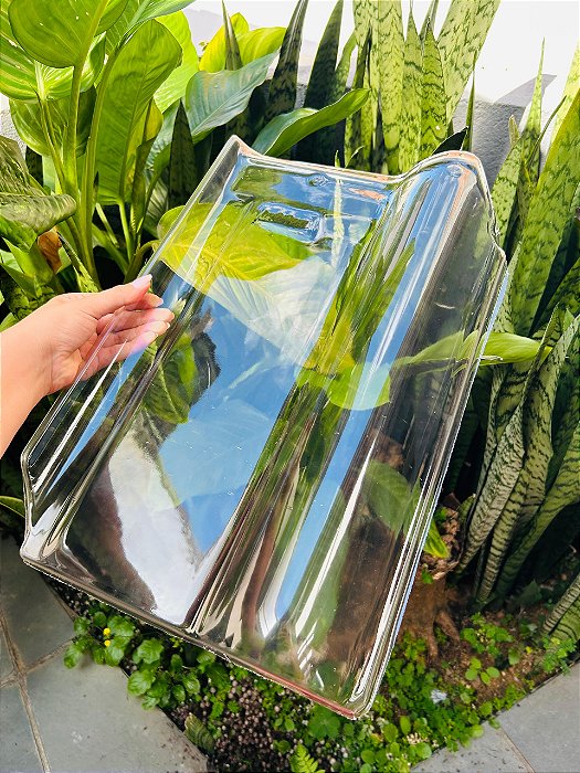 Caixa 5 Telhas Americana Maxx Plastico (Pet) Transparente Medida 46x31 cm