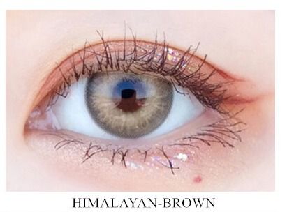 Himalaya Brown