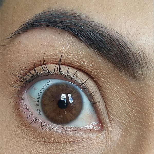 Lente de Contato Siesta Crystal Iris Hazel | COM E SEM GRAU