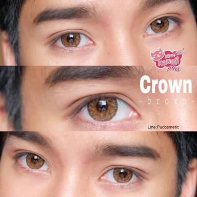 Crown Brown (Raridade)