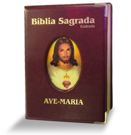 Biblia Ilustrada Luxo - Grande - Marrom  | FSJPII