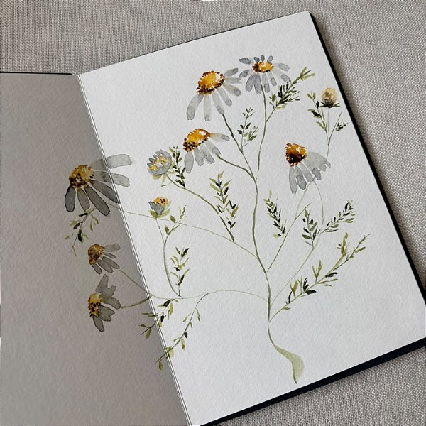 OFICINA PRESENCIAL DE AQUARELA | EDIÇÃO PRIMAVERA: MARGARIDAS