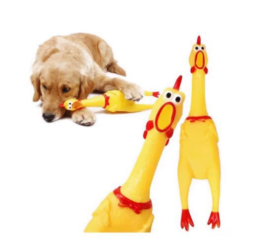 Frango Sonoro galinha Pet