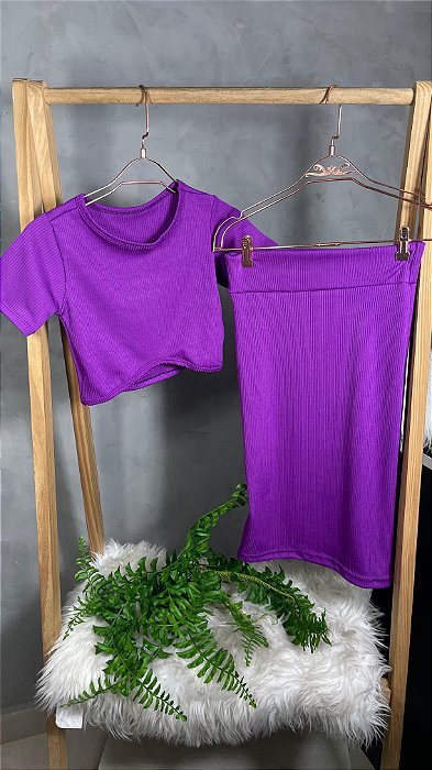 Conjunto Ribana C/ Saia e Cropped