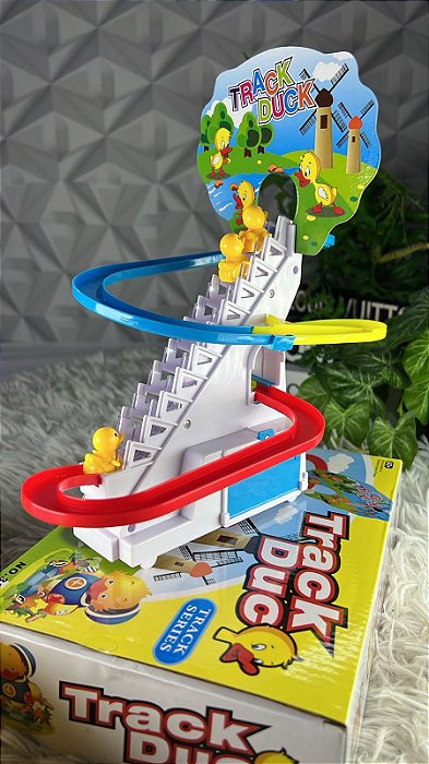 Pato Duck - Circuito