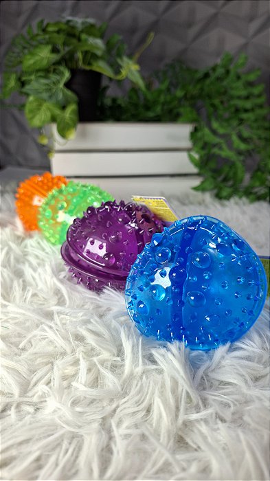 Brinquedo Pet Bola Educativa