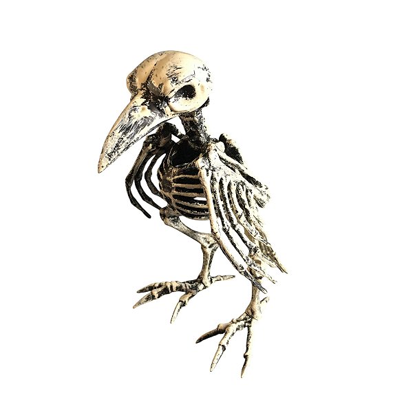 Corvo Esqueleto