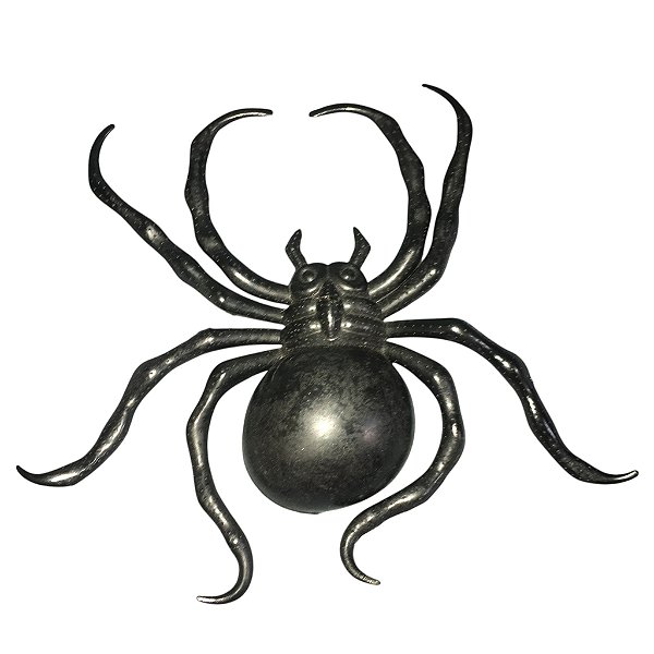 Aranha Armadeira Borracha