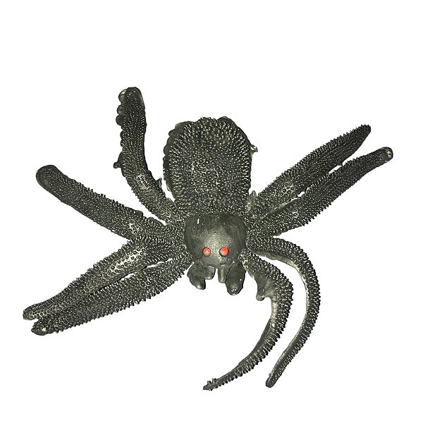 Aranha Caranguejeira