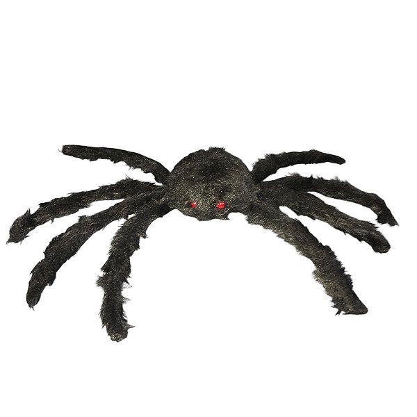 Aranha Pelúcia