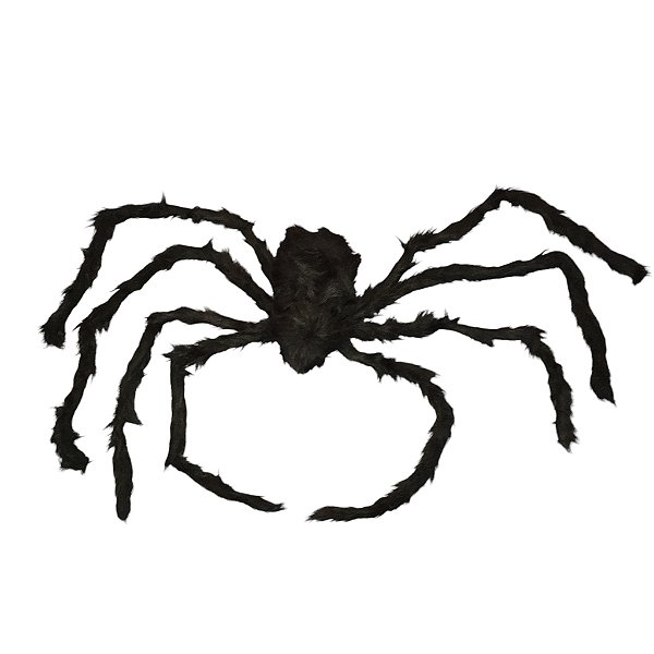Aranha Peluda Grande