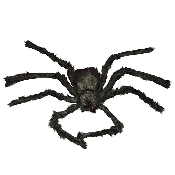 Aranha Peluda Média