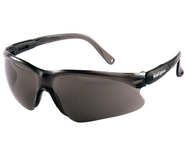 Óculos De Proteção Kalipso Lince Cinza CA 10345