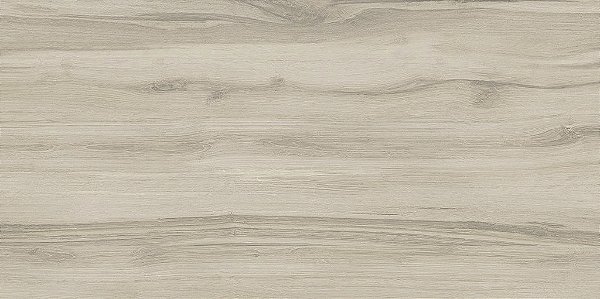 Porcelanato 60x120 Caja Acetinado Retificado Delta - cx2,880