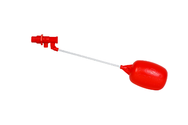 Torne Boia 1/2 E 3/4 Krona