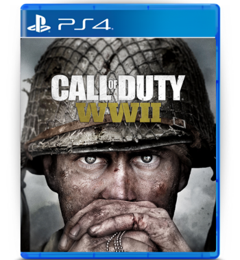 Call of Duty: WW II 2 PS4 Mídia Digital