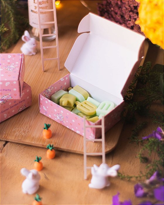 Wax Melts Ice Melon