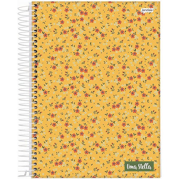 Caderno 20x1 Capa Dura Stella 320fls. Pct.C/02 68795-88 Jandaia