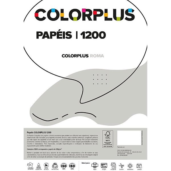 Papel Cartolina Dupla Face Color Plus 48X66Cm 120G Cinza Blendpaper