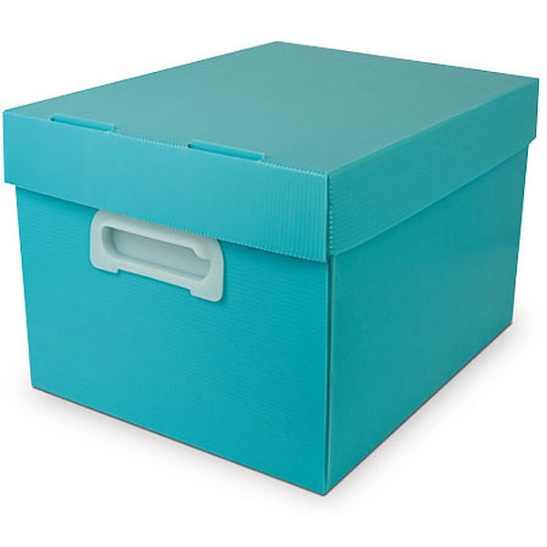 Caixa Organizadora The Best Box G 437X310X240 Vdp Polibras