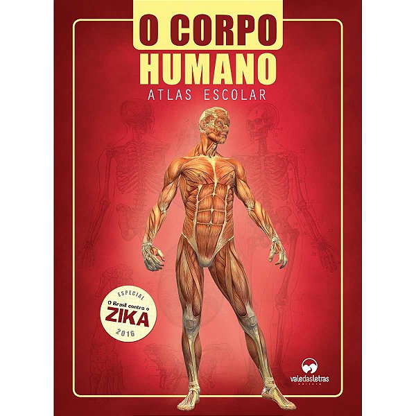 Livro Atlas Corpo Humano Escolar 32Pgs Vale Das Letras