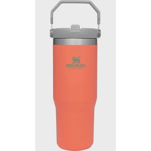 Tumbler term Stanley Flip Straw guava 887ml