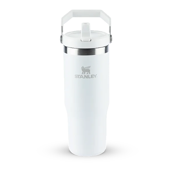 TUMBLER FROST 887MLTERM STANLEY FLIP STRAW 8356
