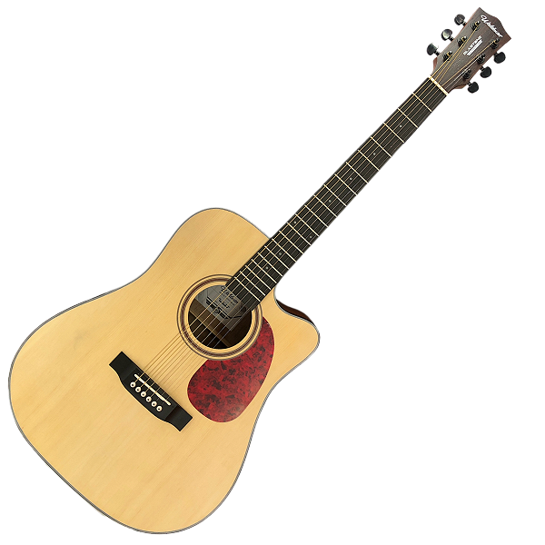 VIOLAO FOLK ELETRICO - WALDMAN DCEX341N