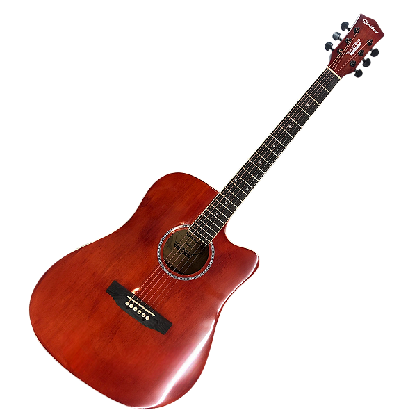 VIOLAO FOLK ELETRICO - WALDMAN DCE141BN
