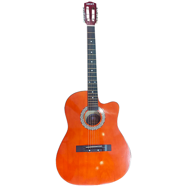 VIOLAO ELETRICO BR - MXT