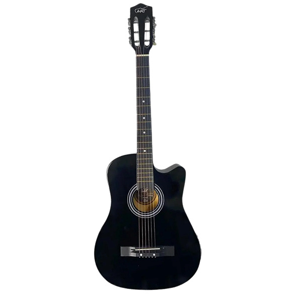 VIOLAO ELÉTRICO BK- MXT