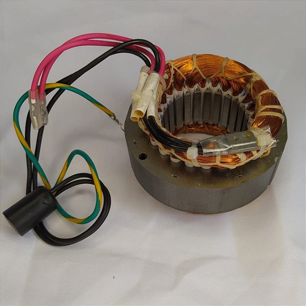 MOTOR ELÉTRICO PARA BOMBA GIRO AGS 300 220V