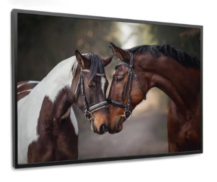Quadro Decorativo - Cavalo 01