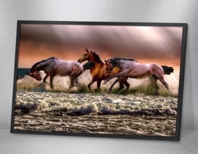 Quadro Decorativo - Cavalo 02