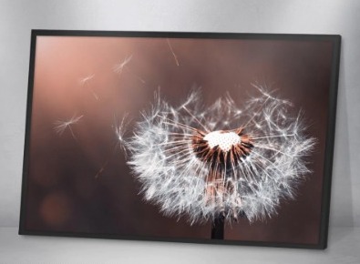 Quadro Decorativo - Natureza 03