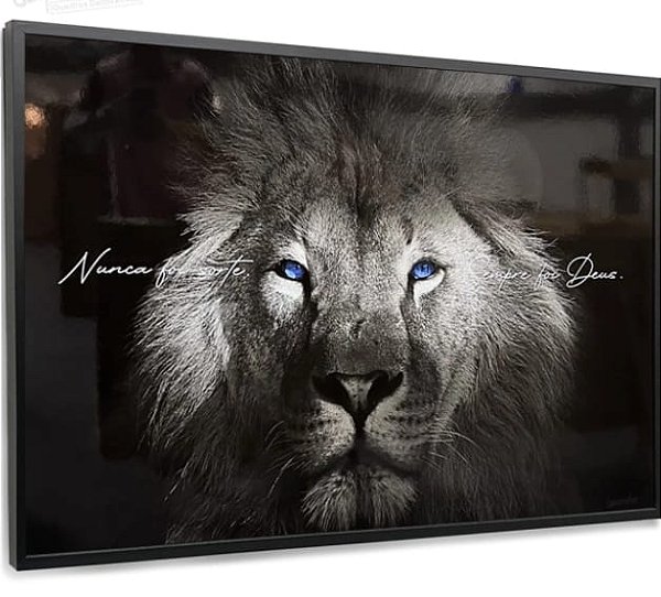 Quadro Decorativo - Leão 01