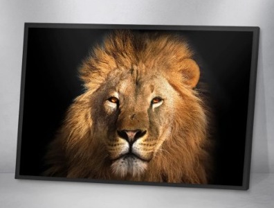 Quadro Decorativo - Leão 07