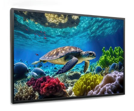 Quadro Decorativo - Mar 03