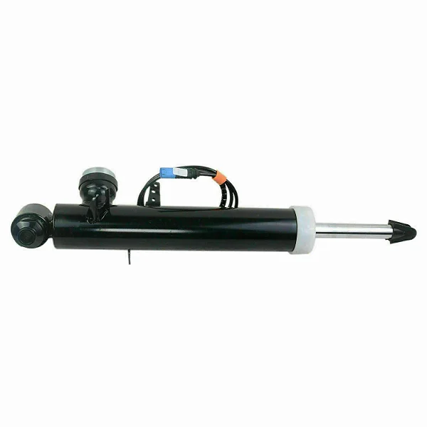 Amortecedor Eletrônico Traseira LD Bmw X5 X6 37106875090 37106875088 33527856496 33527850214