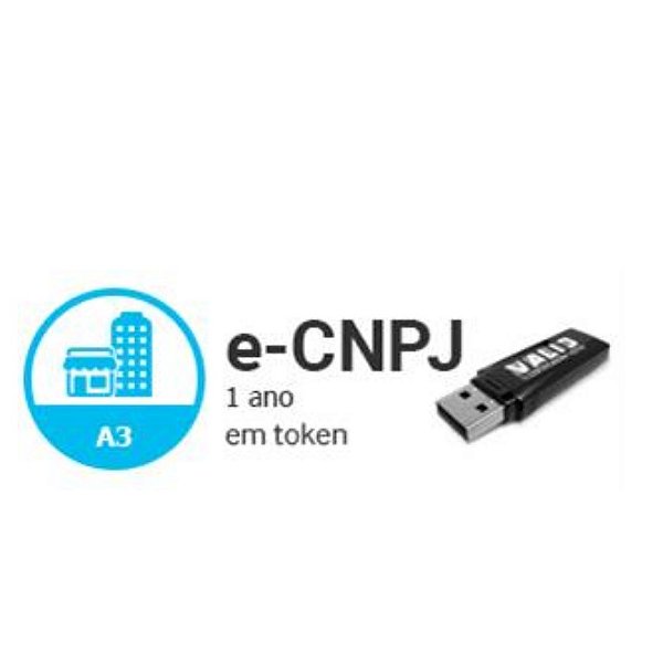 E-CNPJ A3 DE 1 ANO EM  TOKEN