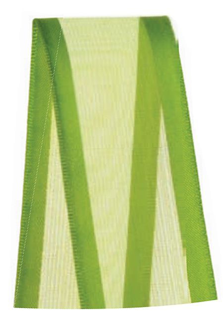 Fita Voal com Cetim Progresso  ZC009 38mm - 10m Cor 677 Verde Folha - 01 Unidade - Progresso - Rizzo