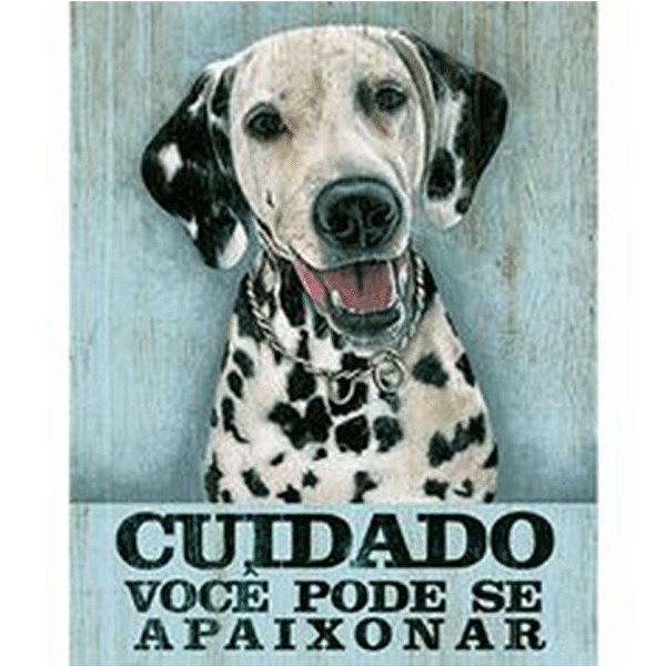 Litoarte Cuidado Você pode se Apaixonar -19cm x 24cm - 1 Unidade - Rizzo