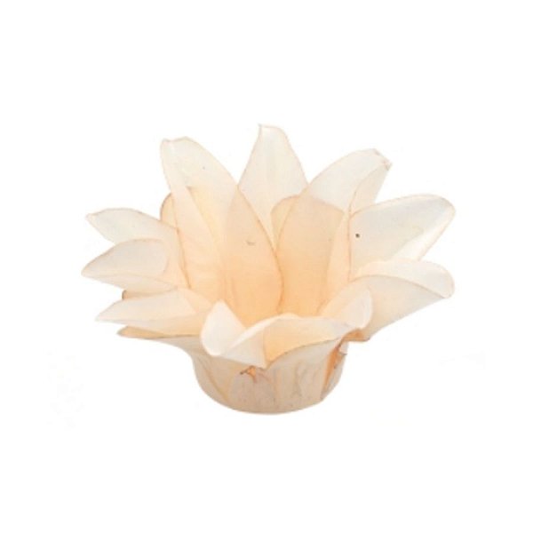 Forminha Para Doces Finos - Estrela do Mar Creme - 20 unidades - Decora Doces - Rizzo