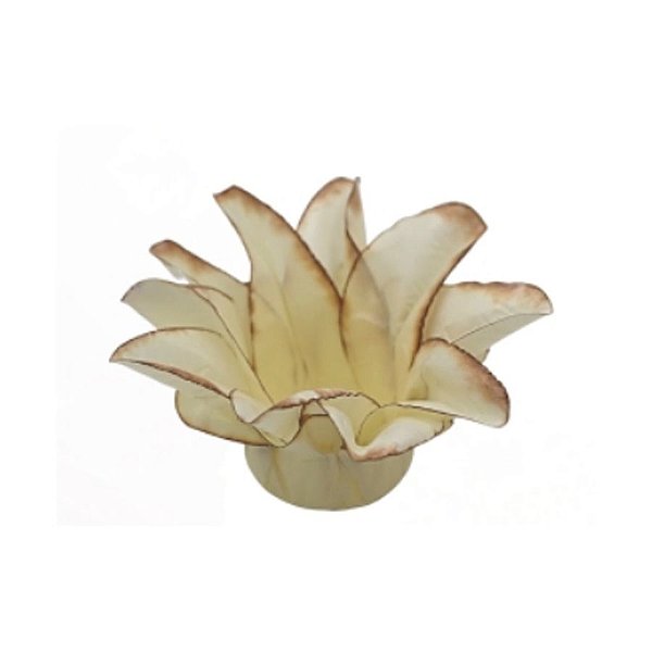 Forminha Para Doces Finos - Estrela do Mar Marfim Queimado - 20 unidades - Decora Doces - Rizzo