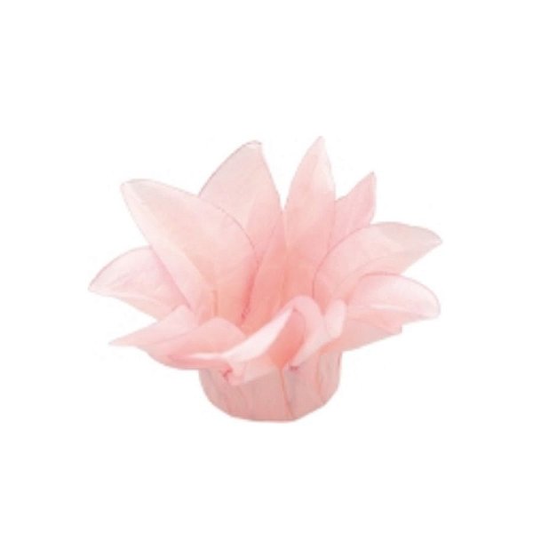 Forminha Para Doces Finos - Estrela do Mar Goiaba Matte  - 20 unidades - Decora Doces - Rizzo